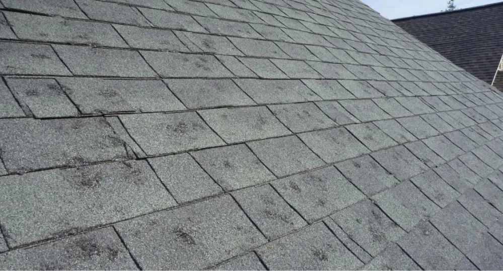 Roof Inspections & Preventative Maintenance 1